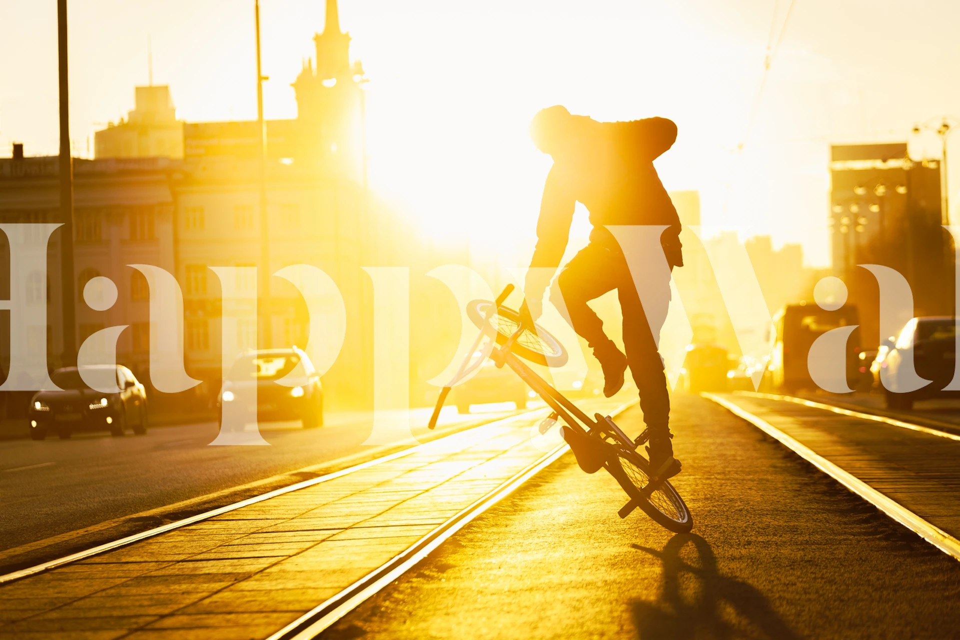 Flatland Bike wallpaper in a modern room