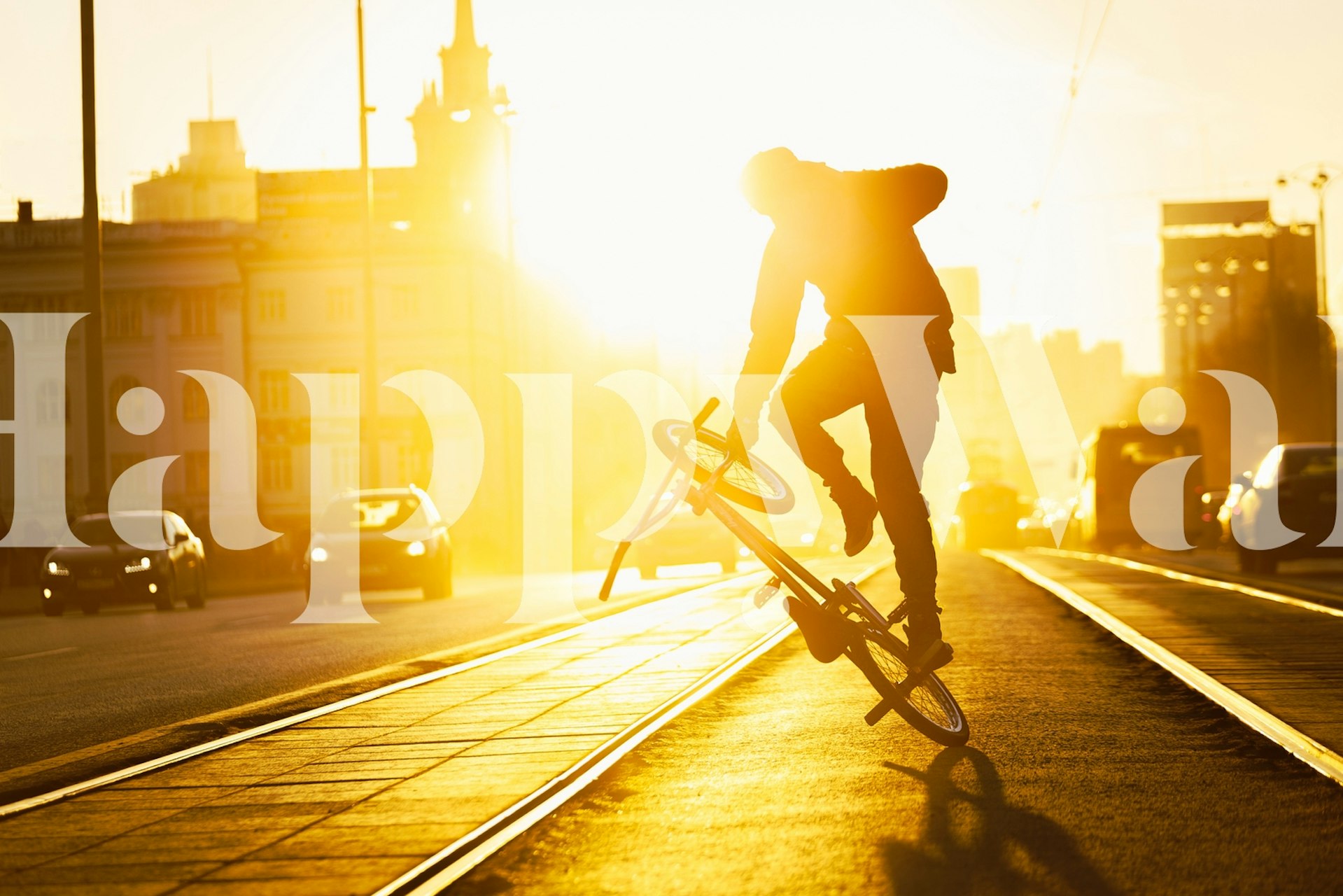 Flatland Bike wallpaper in a modern room