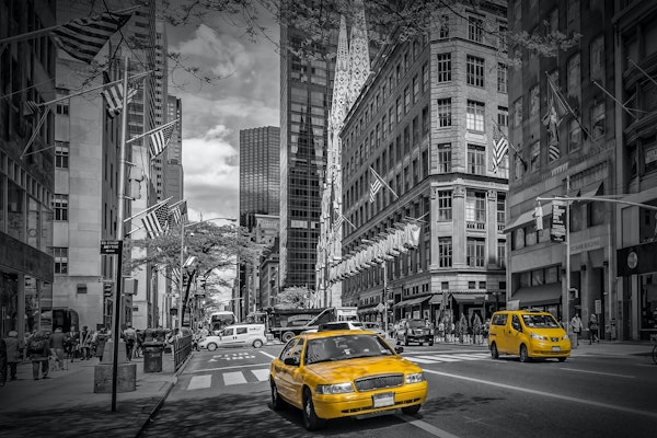 MANHATTAN 5th Avenue