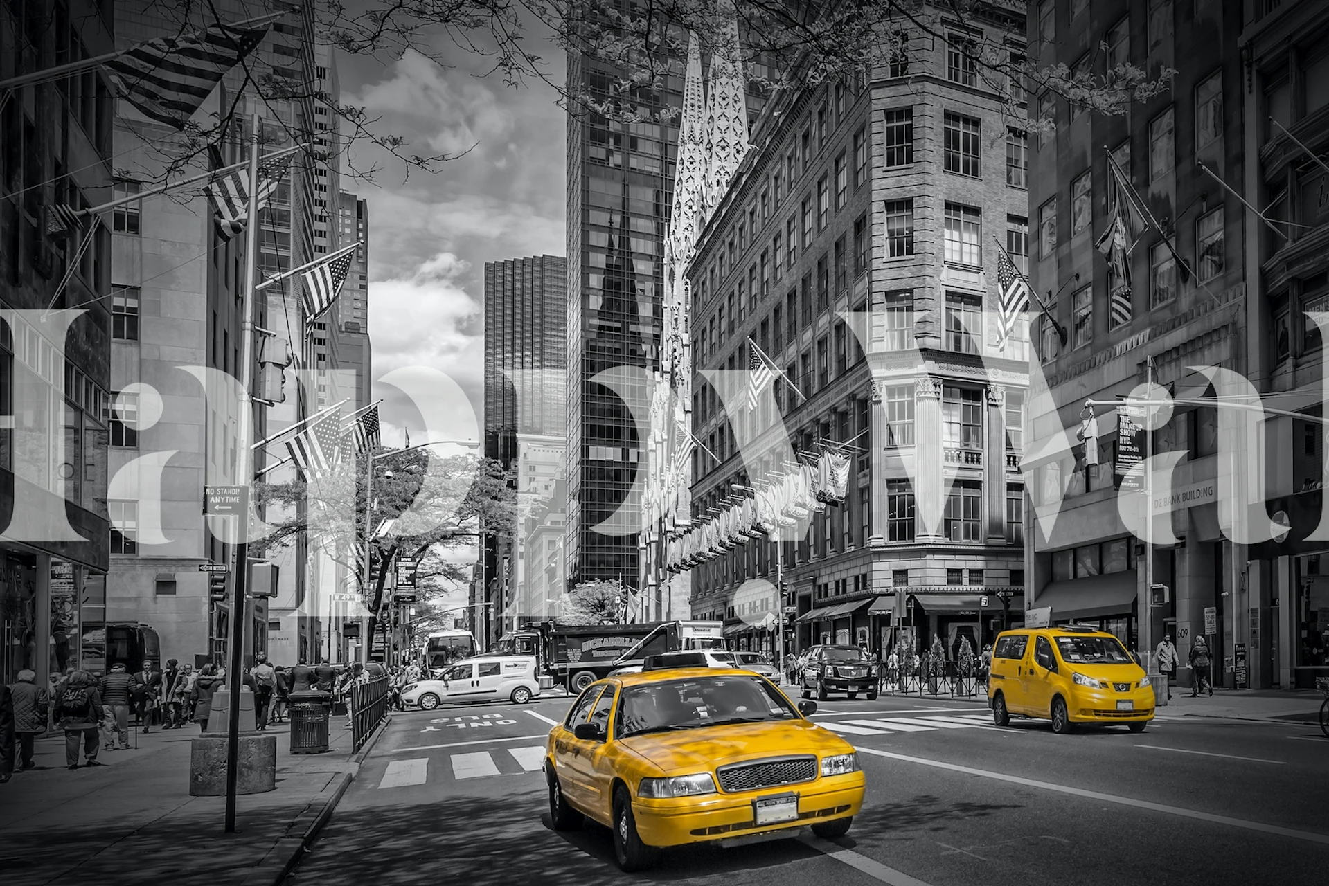 Monokrom tapet på 5th Avenue på Manhattan med gula taxibilar som lägger till färg