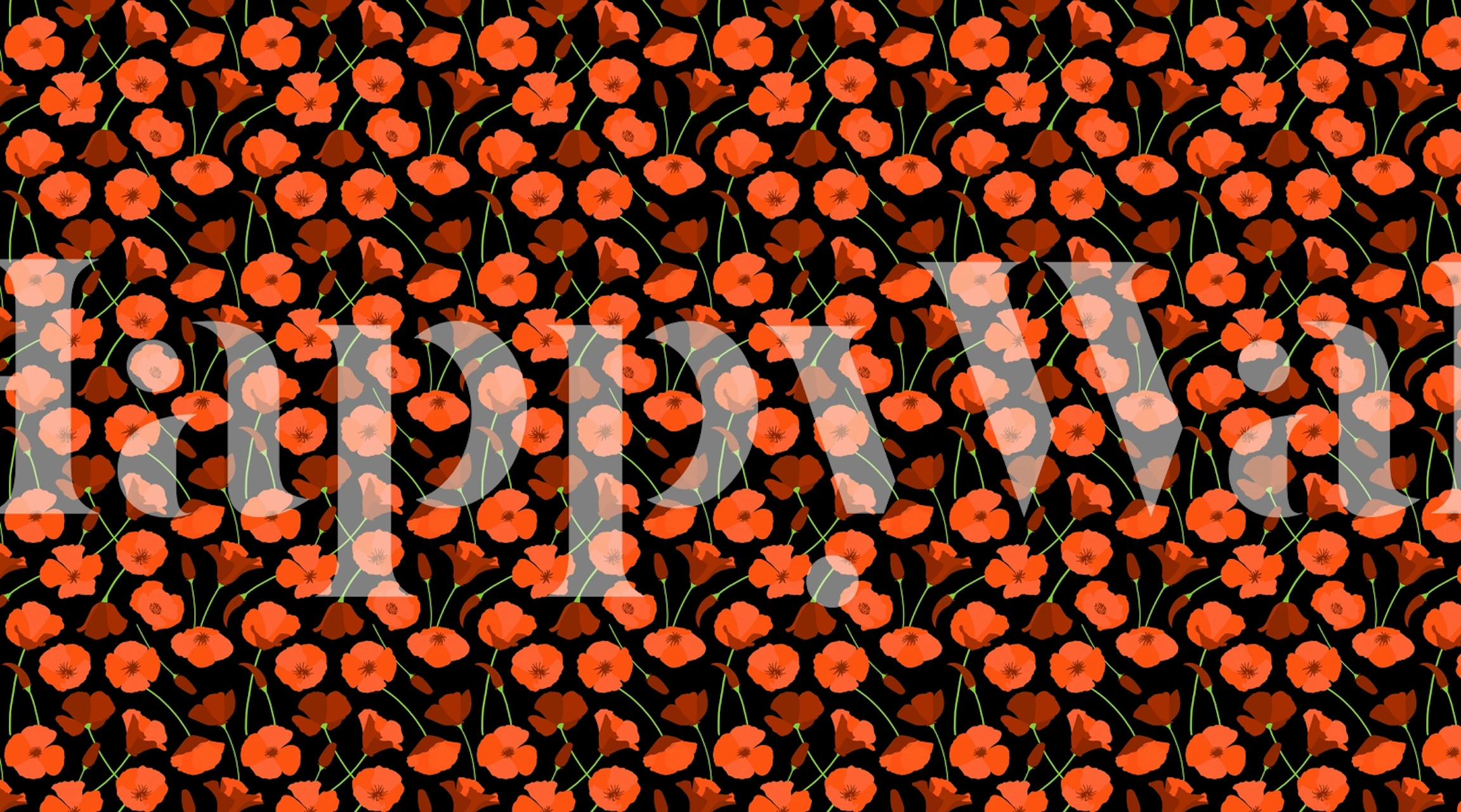 Orange California poppies wall mural with a dark background