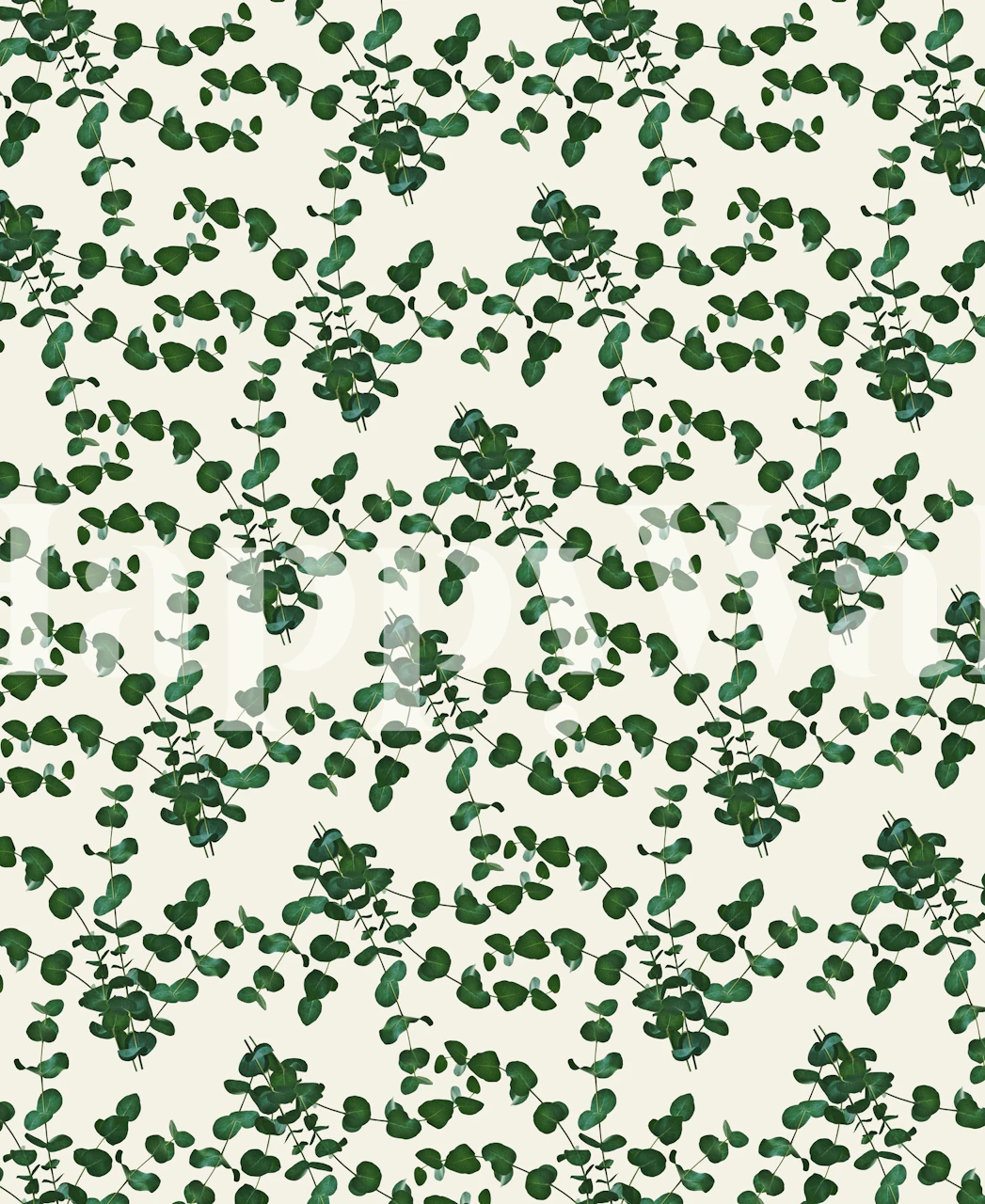 Eucalyptus leaves pattern in green on white background wallpaper