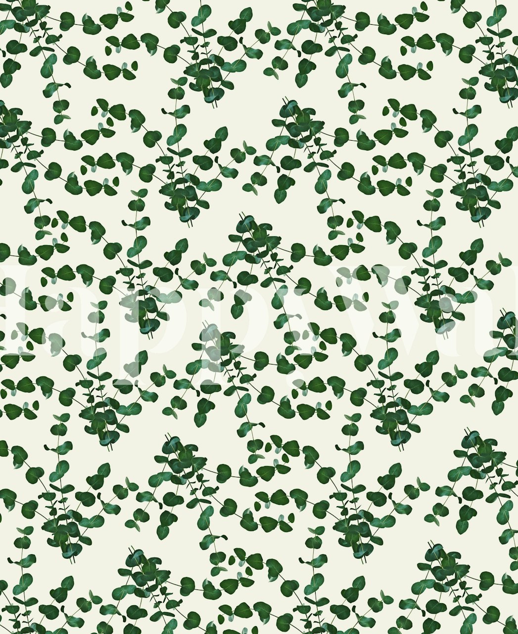 Eucalyptus leaves pattern in green on white background wallpaper