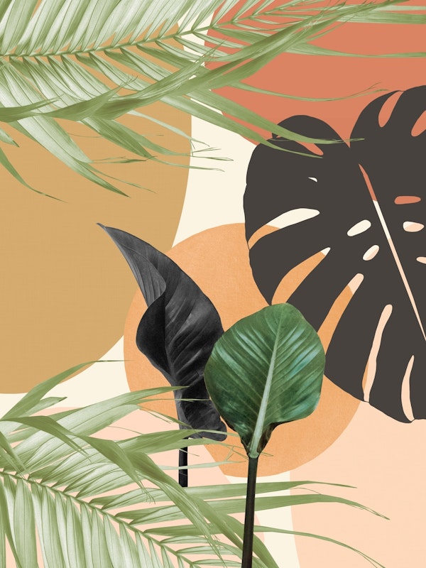 Tropical Leaves Summer 1