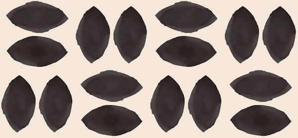 Minimal Vintage Geometry