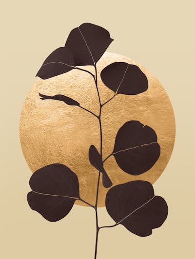 Τοιχογραφία