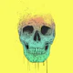 Pop art skull