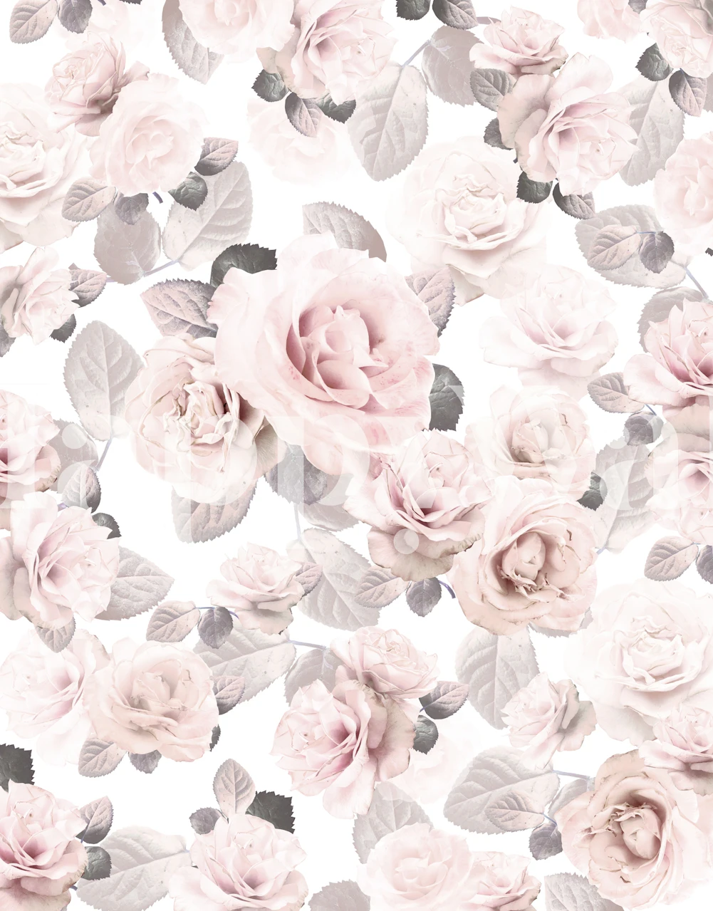 Pink roses and leaves floral pattern wallpaper