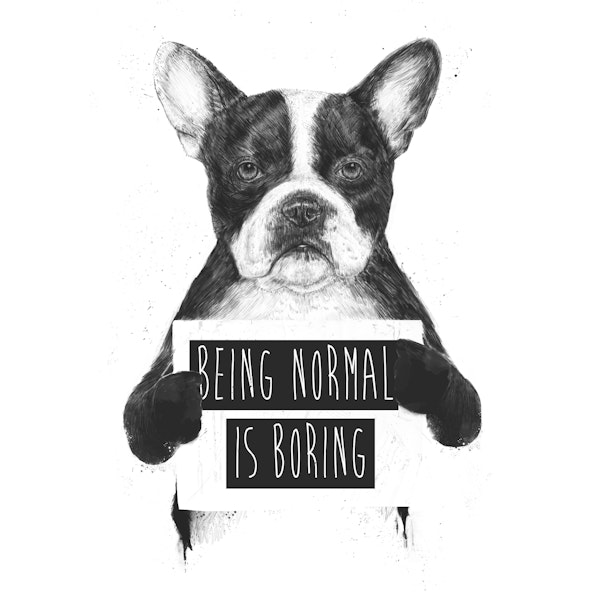Being normal is boring