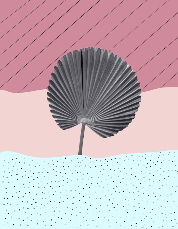 Fan Palm Abstract Finesse 1