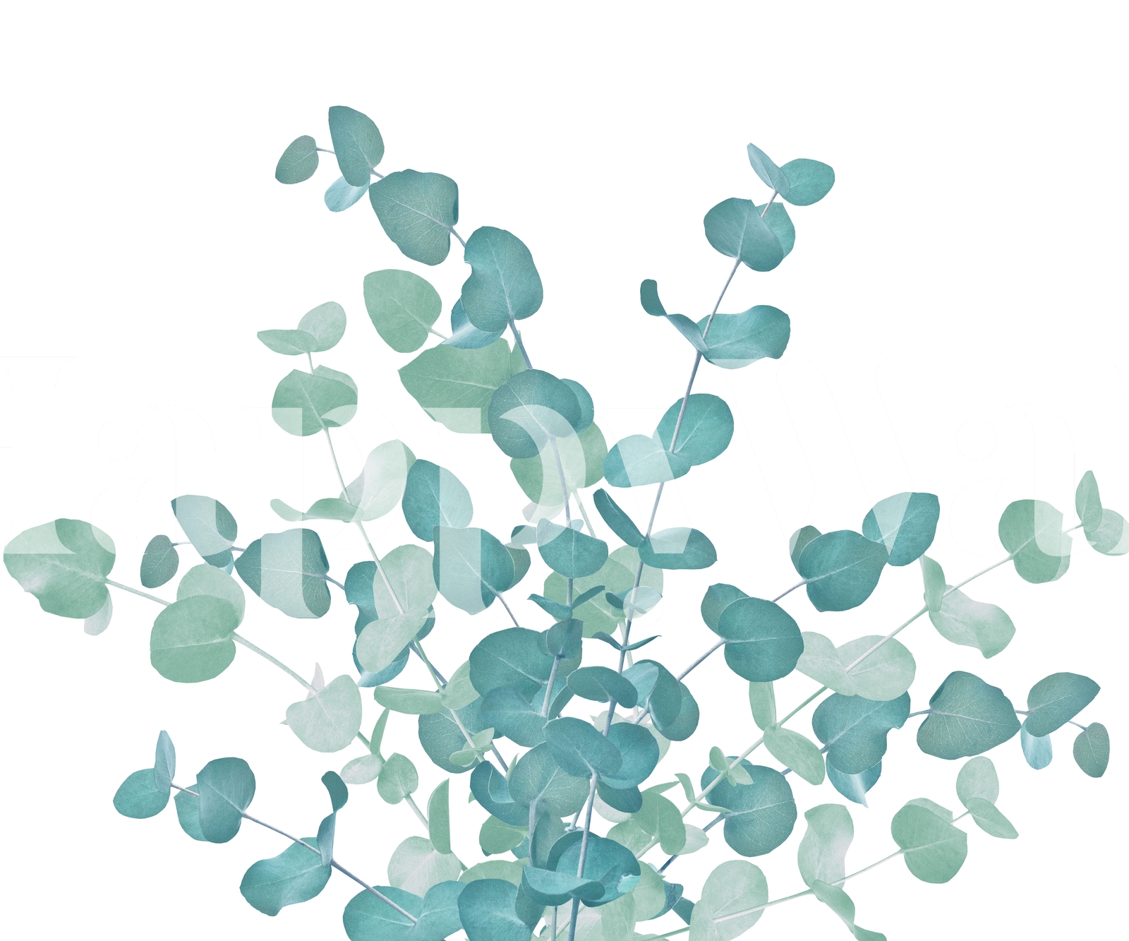 Eucalyptus Bouquet Dream 2 wallpaper | Happywall