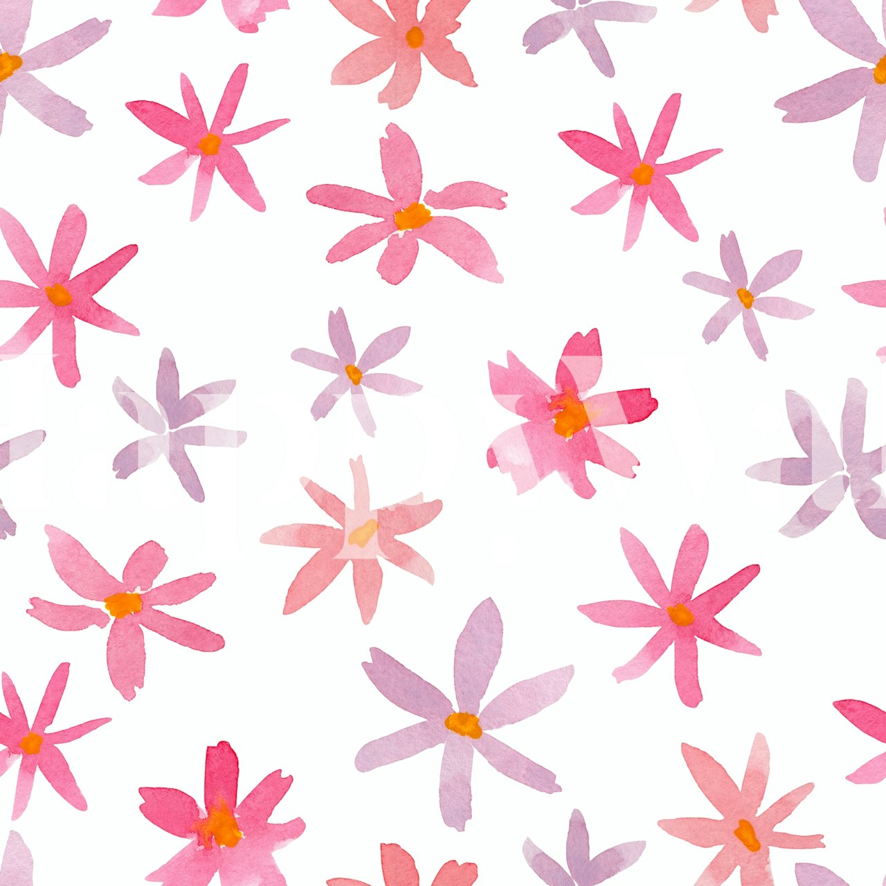 Cosmos Fields floral wallpaper in a room