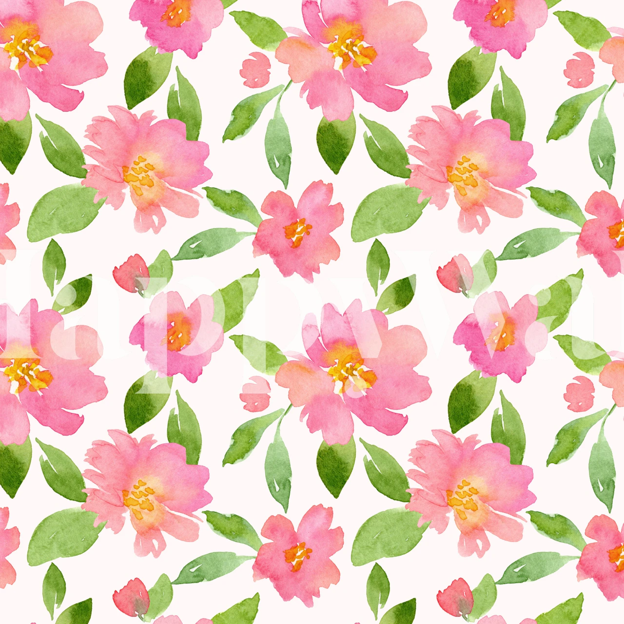 Colorful pink flowers with green leaves on a white background wallpaper