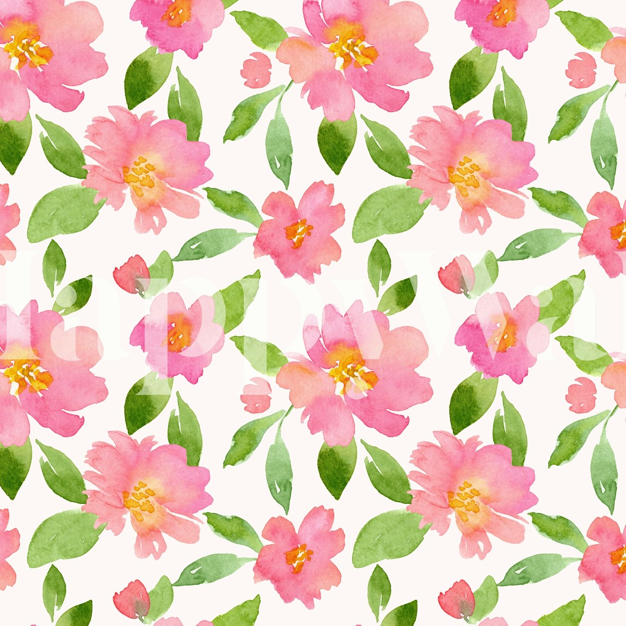 Colorful pink flowers with green leaves on a white background wallpaper