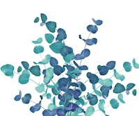 Eucalyptus Bouquet Dream 3 tapet