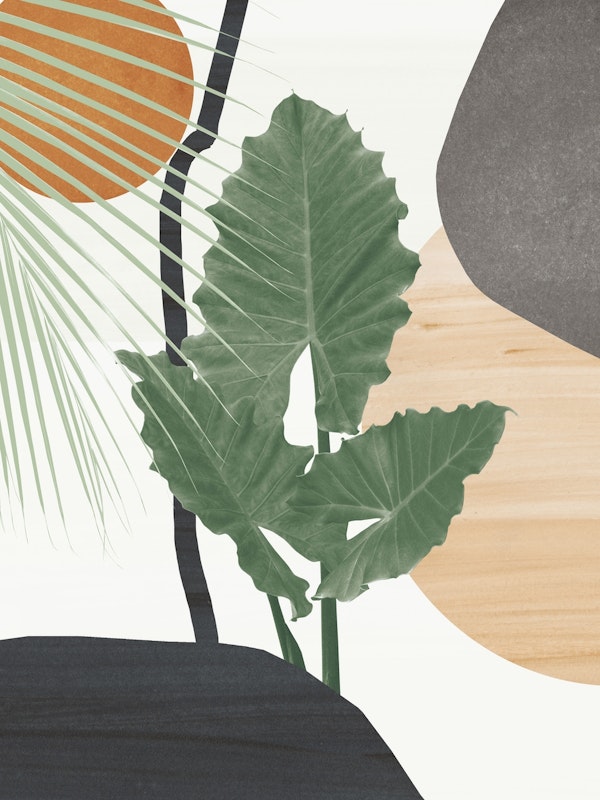 Tropical Leaves Abstract 1