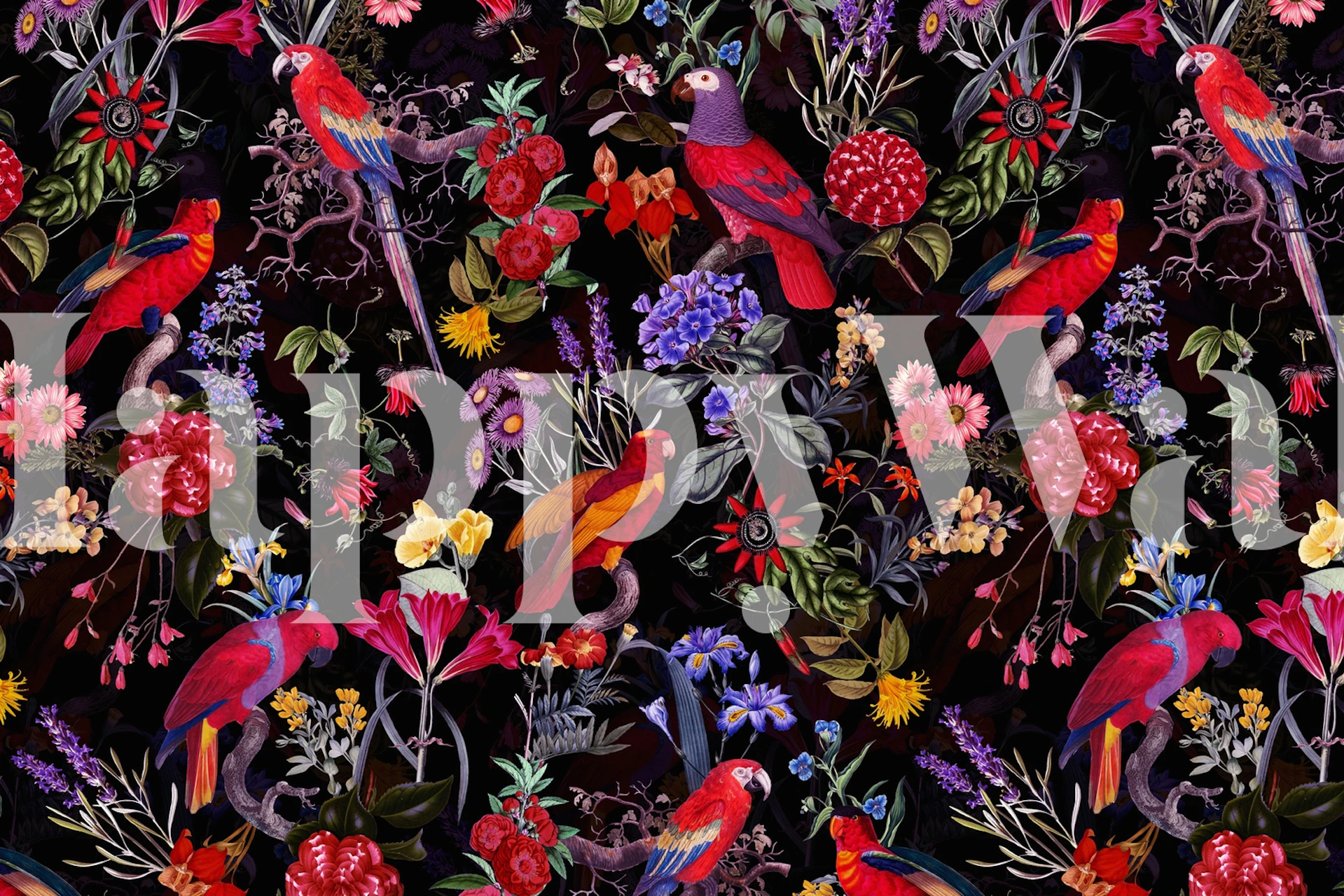 Flower Birds Midnight Garden tapet i et rum