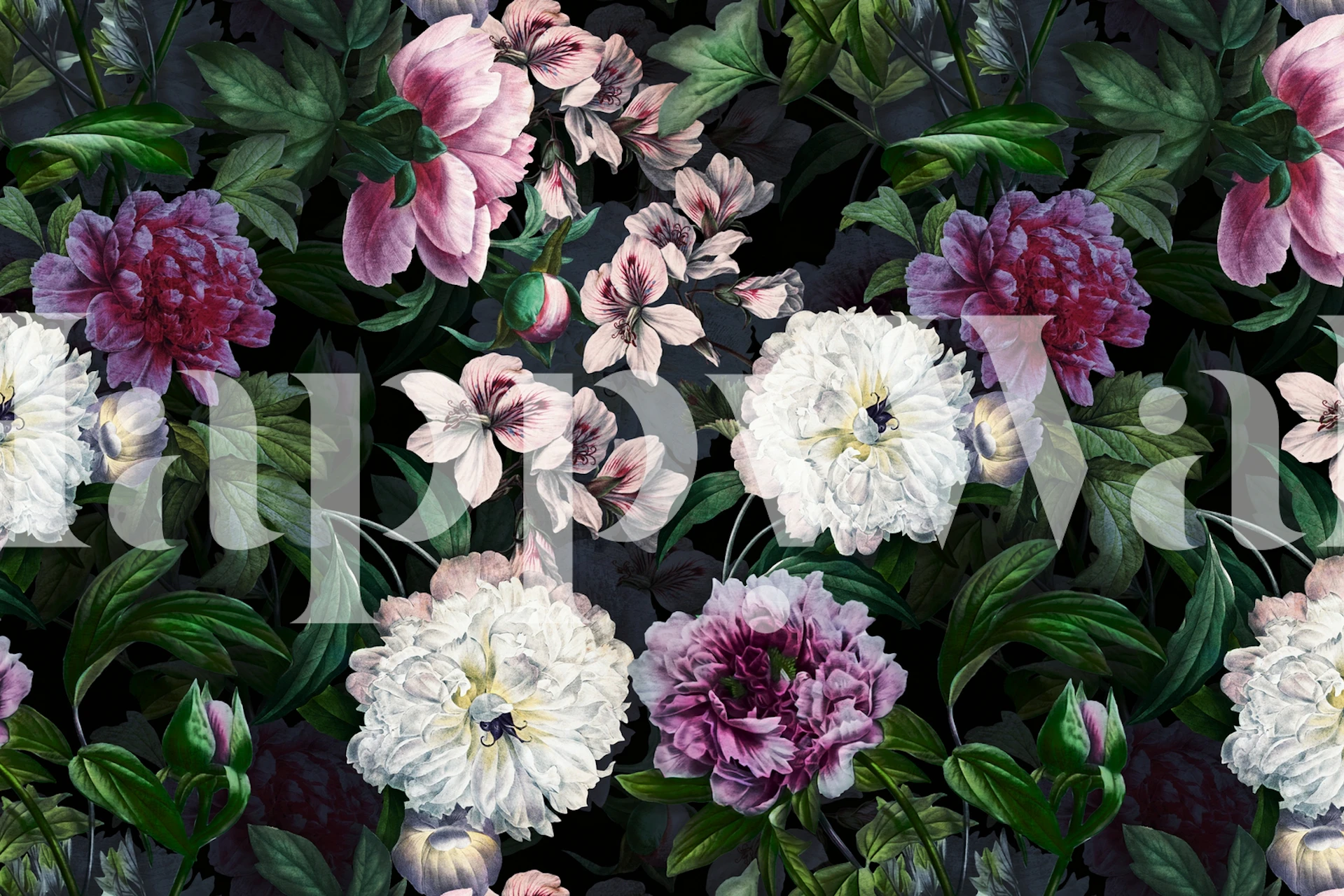 Pink and white peonies with green leaves wallpaper