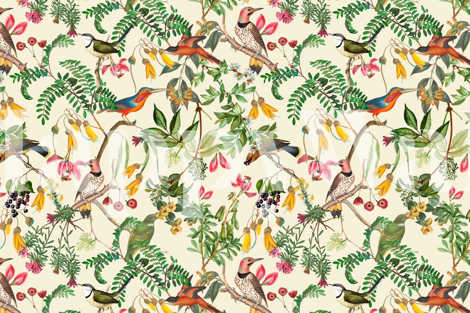 Exotic Birds Jungle Wallpaper - Happywall