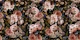 Baroque Night Roses Garden