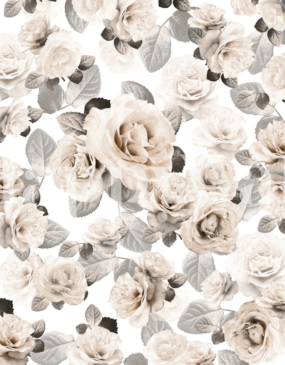 Vintage Rose Glam 4 tapetti huoneessa