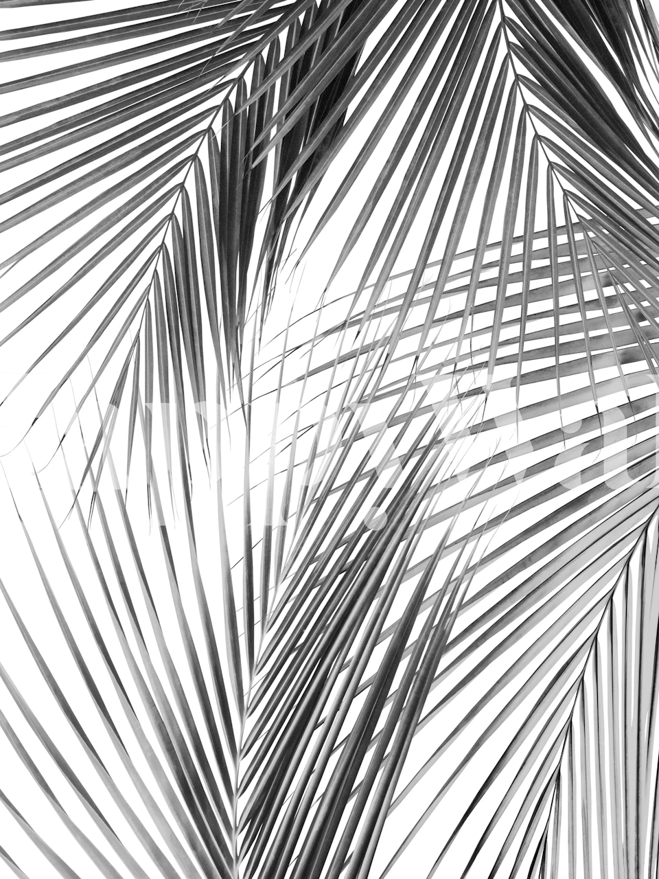 Palm leaves wallpaper in a stylish room
