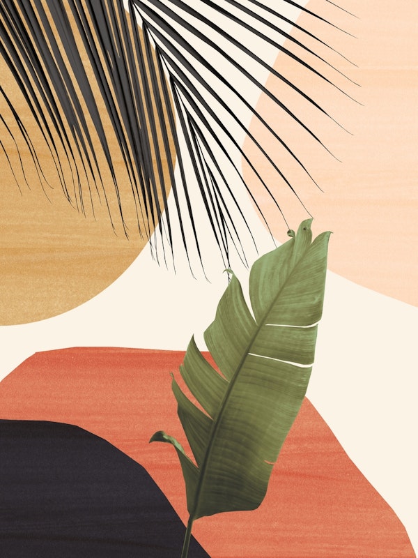 Banana Leaf Abstract 1