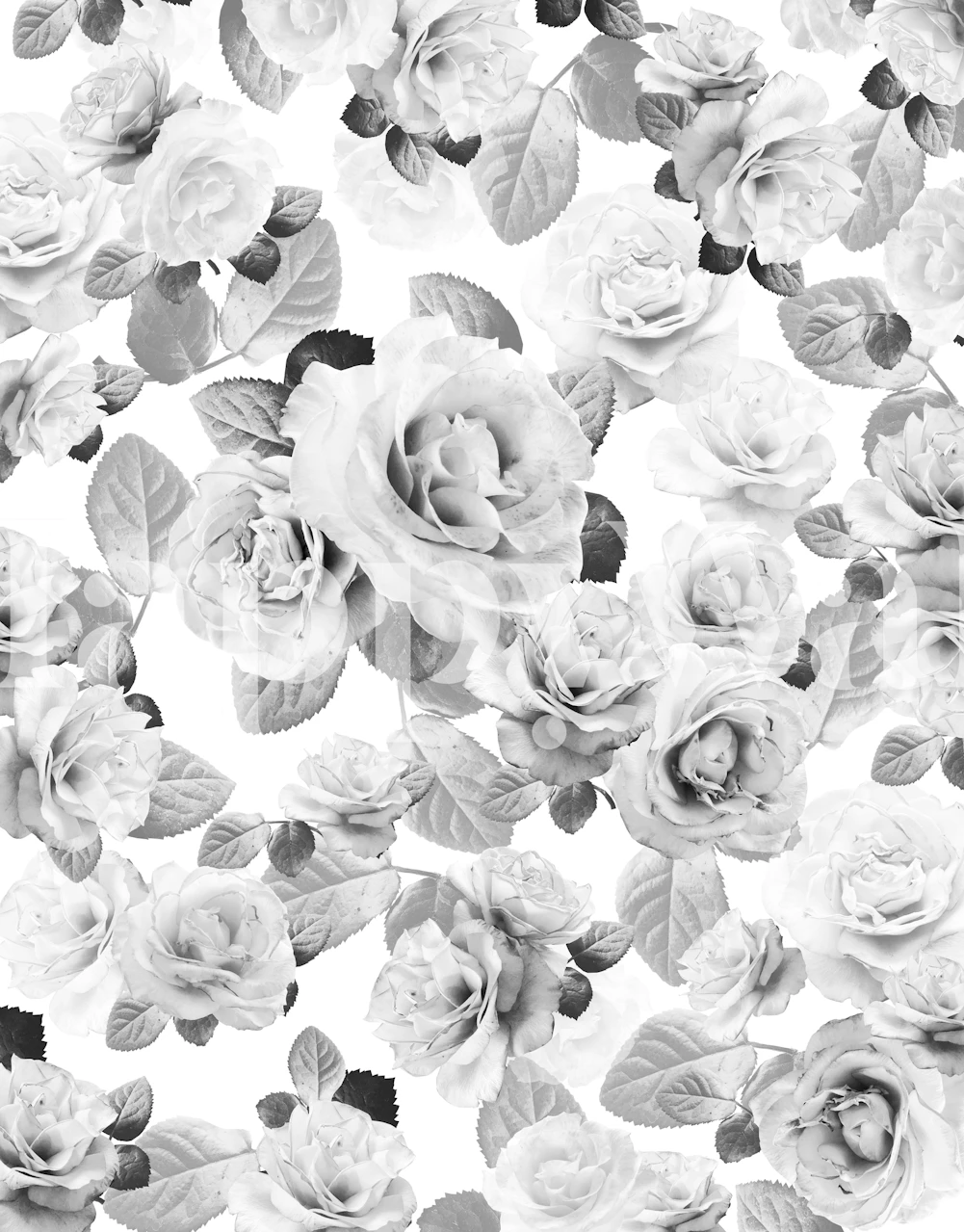 Vintage Rose Glam 5 tapetti huoneessa