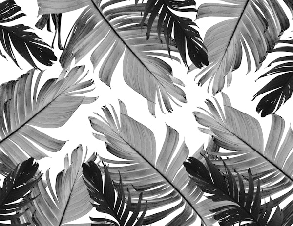 Tropical Banana Leaves 5