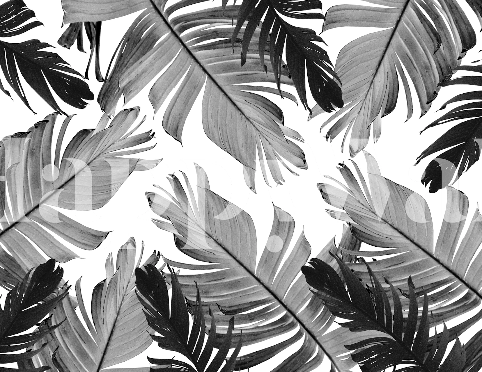 Monochrome tropische Bananenblatt-Tapete