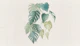 Tropical watercolor monstera leaves - beige