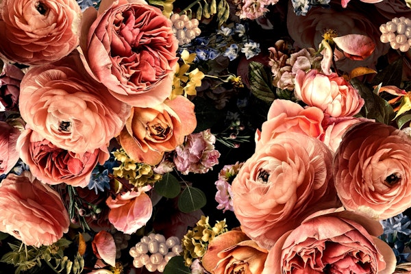 Lush Baroque Roses