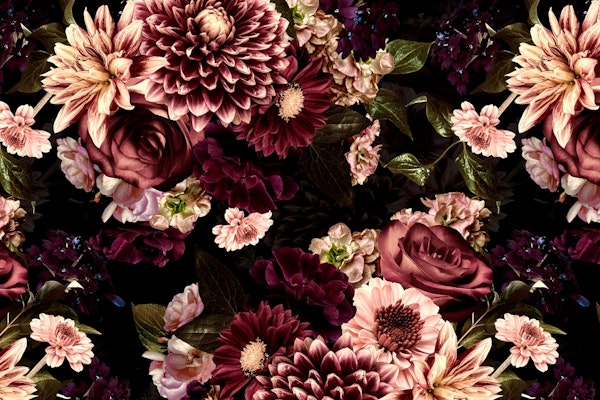 Baroque Mysterious Midnight Garden