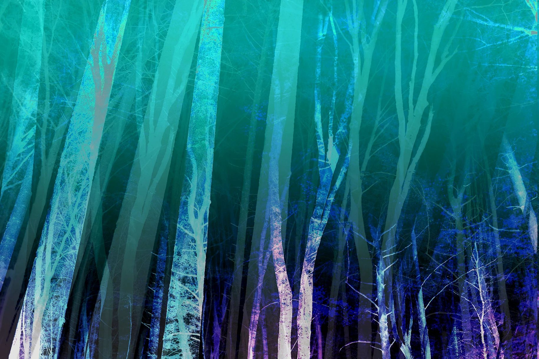 Forest Night Teal Green Wallpaper Buy
