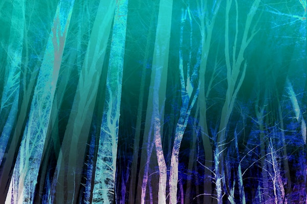 Forest Night Teal Green