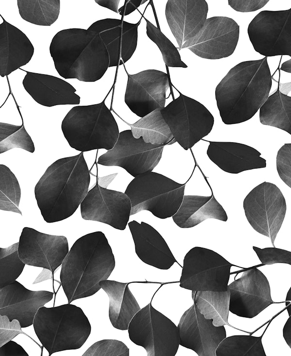 Eucalyptus Pattern 3