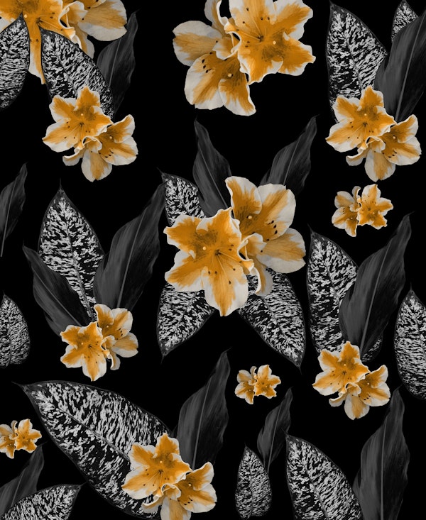 Jungle Night Dream 2