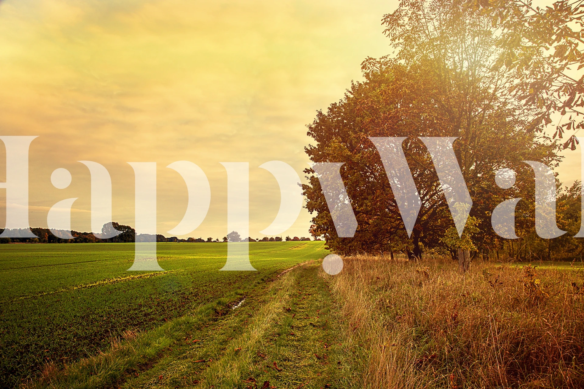 Tapeta Autumn Walk u postavci sobe