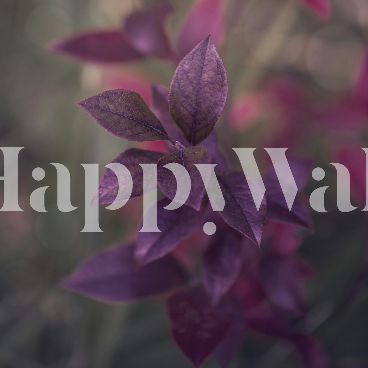 Purple autumn leaves on a blurred background wallpaper