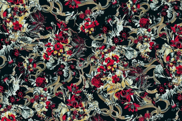 Skull and Snakes Xray