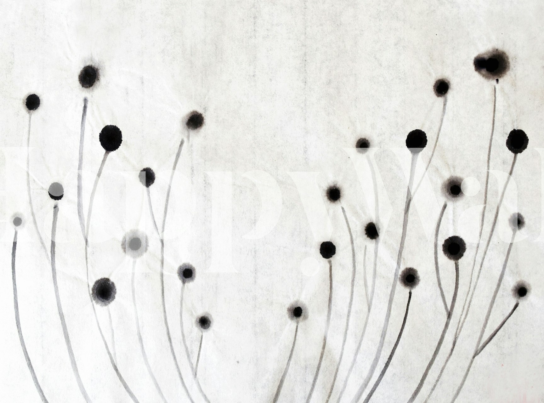 Minimalistyczna fototapeta z motywem kiełków z delikatnymi liniami i neutralnymi tonami