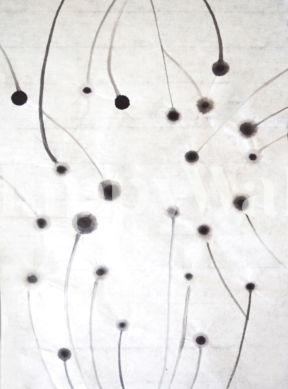 Abstract black and white wallpaper with curved lines and dots.