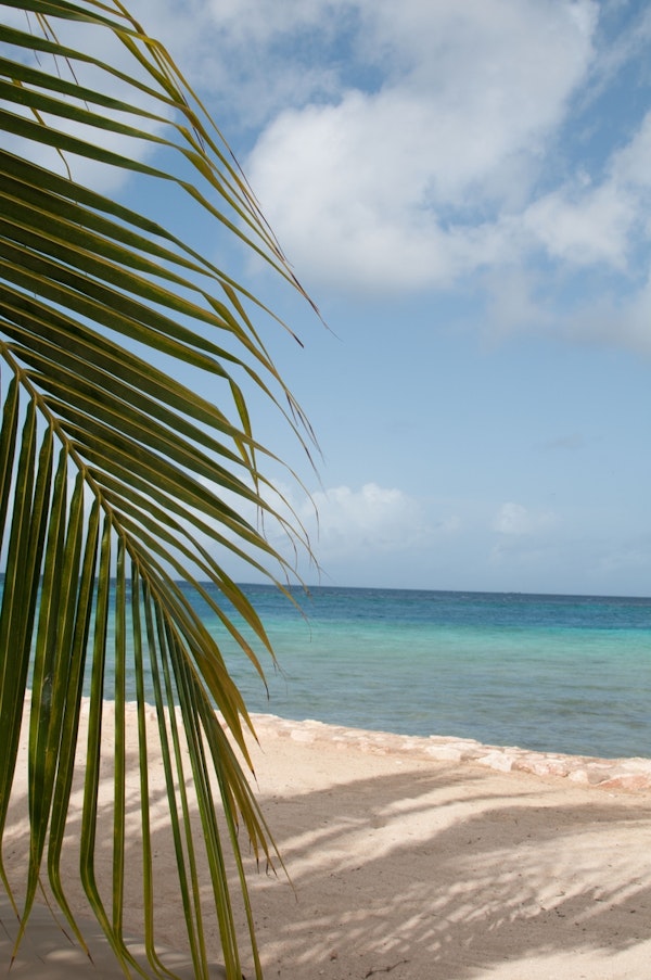 Beach Tranquility Dream 1