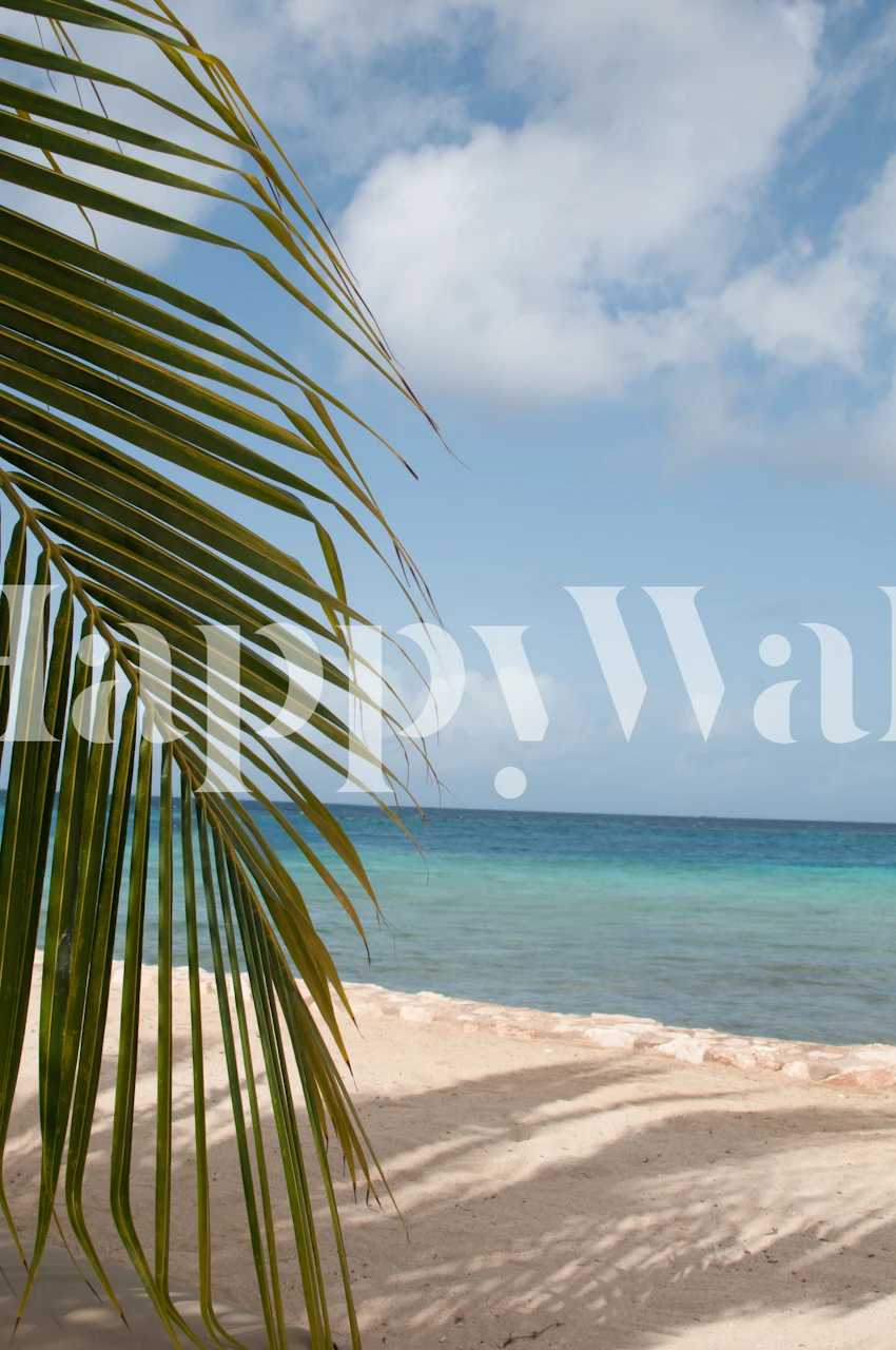 Palm leaves overlooking a serene beach and blue ocean wallpaper