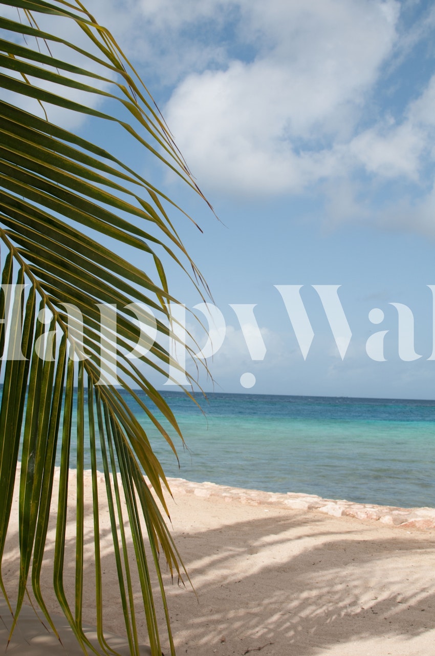 Palm leaves overlooking a serene beach and blue ocean wallpaper