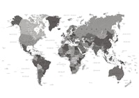 Black and White World Map tapet
