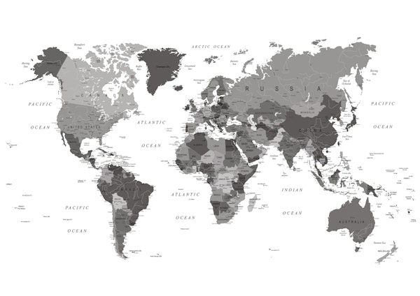 Black and White World Map