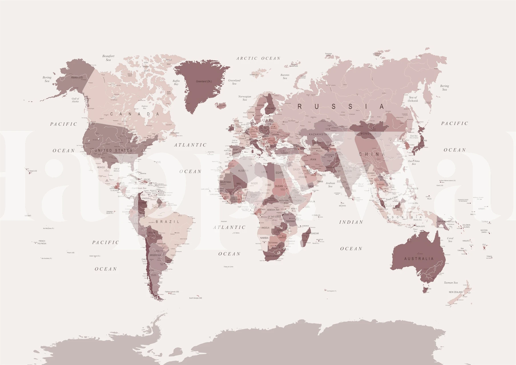 World map in pink hues with geographical details wallpaper