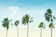 Palm Trees Oasis 1