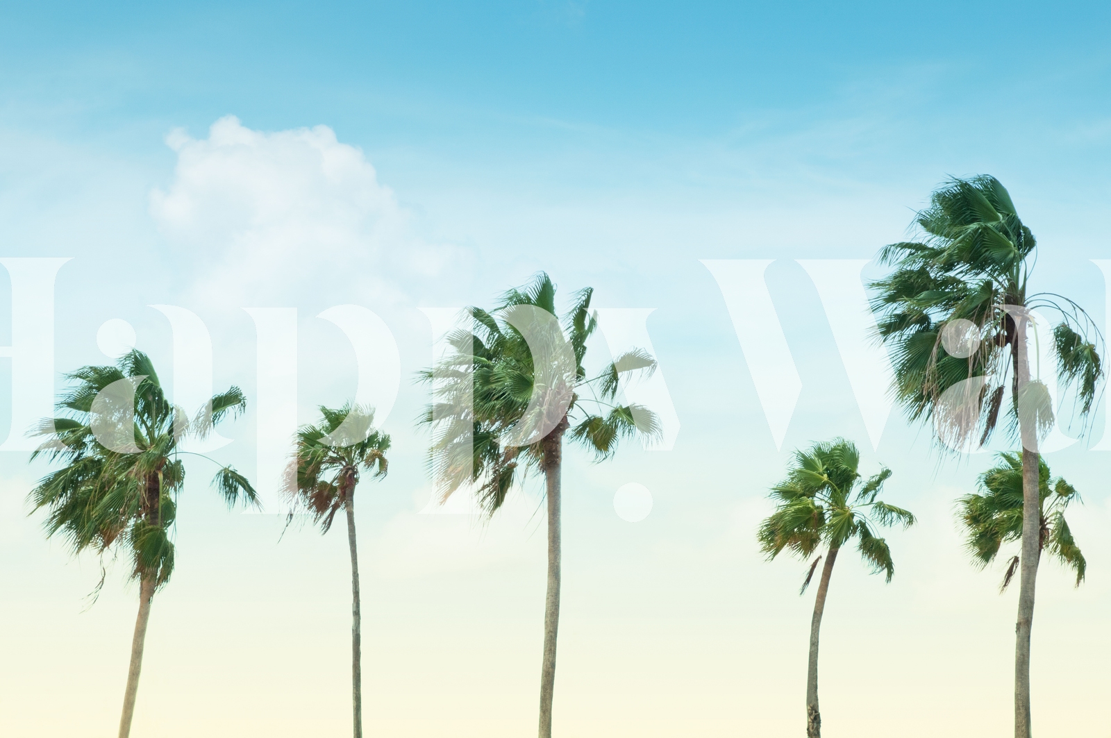 Palm Trees Oasis 1 Wallpaper - Buy Online | Happywall